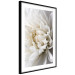 Wall Poster White Dahlia - velvety white flower of the plant with a romantic character 125720 additionalThumb 11
