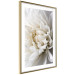 Wall Poster White Dahlia - velvety white flower of the plant with a romantic character 125720 additionalThumb 8