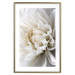 Wall Poster White Dahlia - velvety white flower of the plant with a romantic character 125720 additionalThumb 16