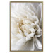 Wall Poster White Dahlia - velvety white flower of the plant with a romantic character 125720 additionalThumb 20