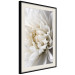 Wall Poster White Dahlia - velvety white flower of the plant with a romantic character 125720 additionalThumb 3