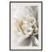 Wall Poster White Dahlia - velvety white flower of the plant with a romantic character 125720 additionalThumb 18
