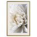 Wall Poster White Dahlia - velvety white flower of the plant with a romantic character 125720 additionalThumb 19