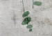 Wall Poster Grapevine - composition of green leaves on a gray fabric texture 127520 additionalThumb 9