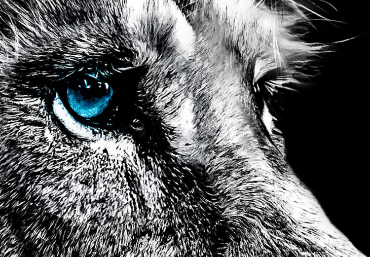 Canvas Art Print Blue-eyed Lion (4 Parts) 128820 additionalImage 4