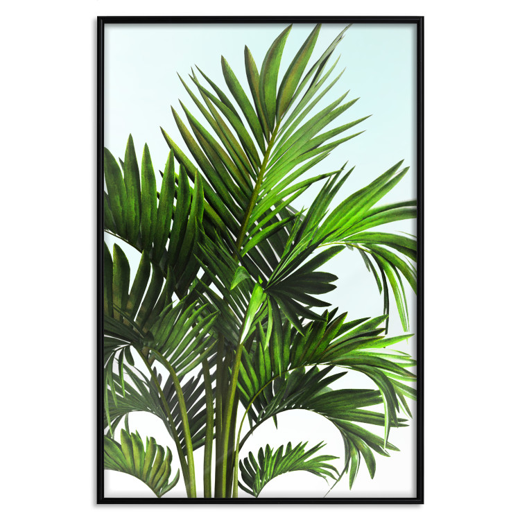 Wall Poster Holidays in Tunisia - palm tree with green leaves against a bright sky 129920 additionalImage 18