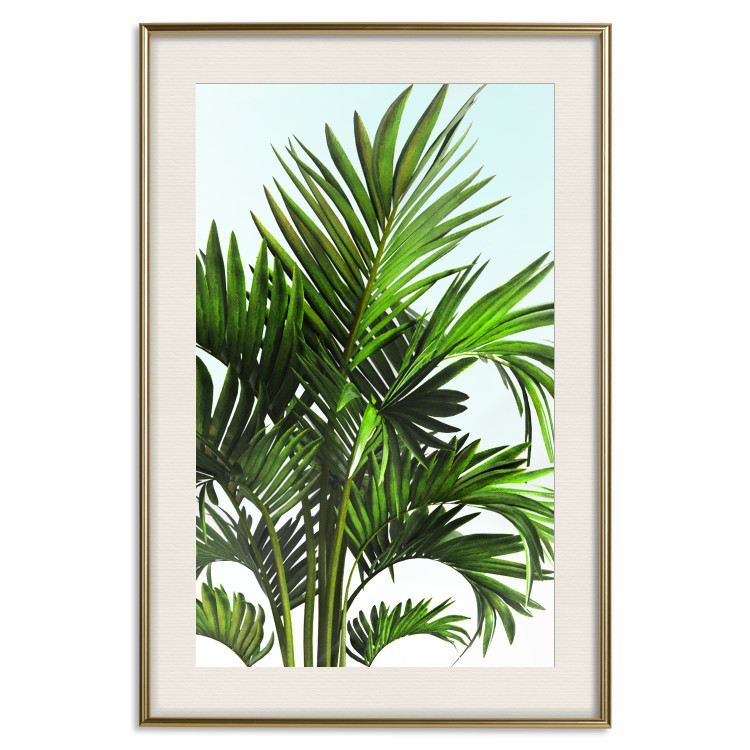 Wall Poster Holidays in Tunisia - palm tree with green leaves against a bright sky 129920 additionalImage 20