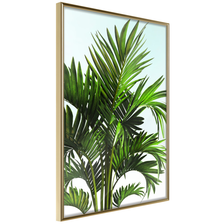 Wall Poster Holidays in Tunisia - palm tree with green leaves against a bright sky 129920 additionalImage 12