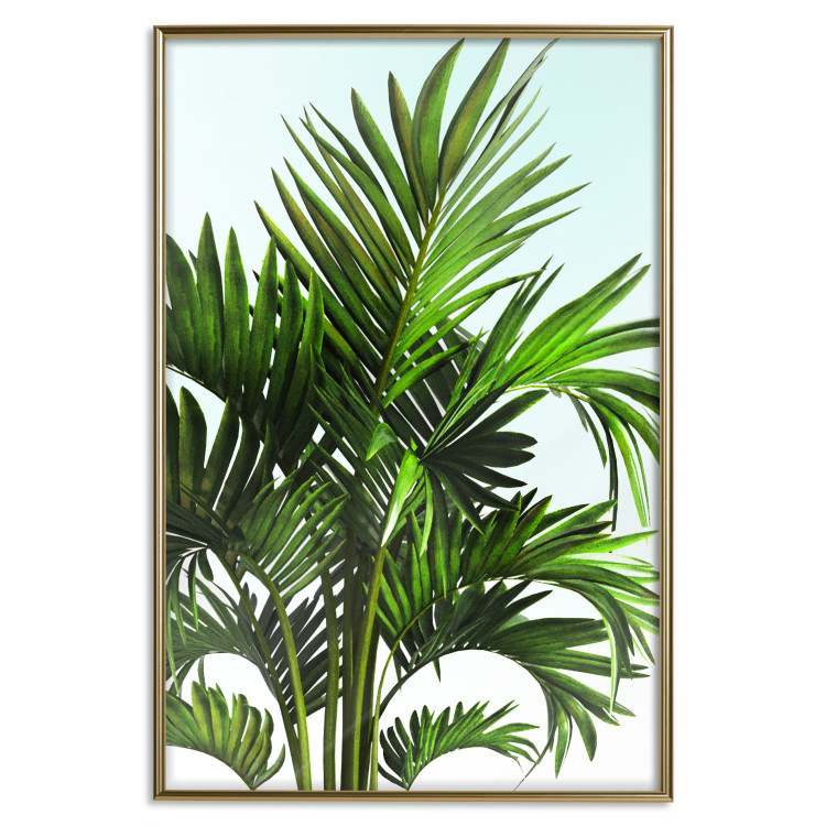 Wall Poster Holidays in Tunisia - palm tree with green leaves against a bright sky 129920 additionalImage 21