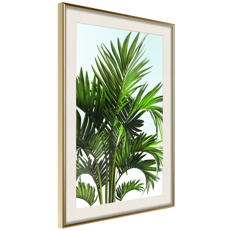 Wall Poster Holidays in Tunisia - palm tree with green leaves against a bright sky 129920 additionalImage 3