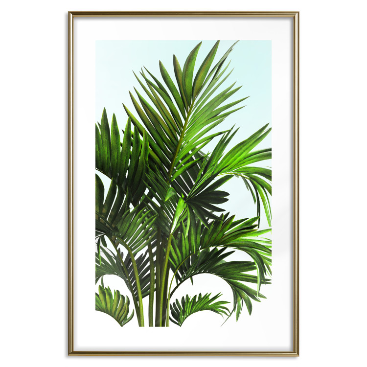 Wall Poster Holidays in Tunisia - palm tree with green leaves against a bright sky 129920 additionalImage 14