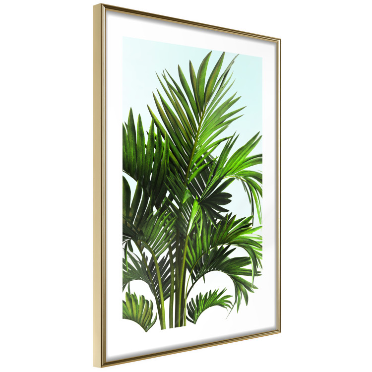 Wall Poster Holidays in Tunisia - palm tree with green leaves against a bright sky 129920 additionalImage 7