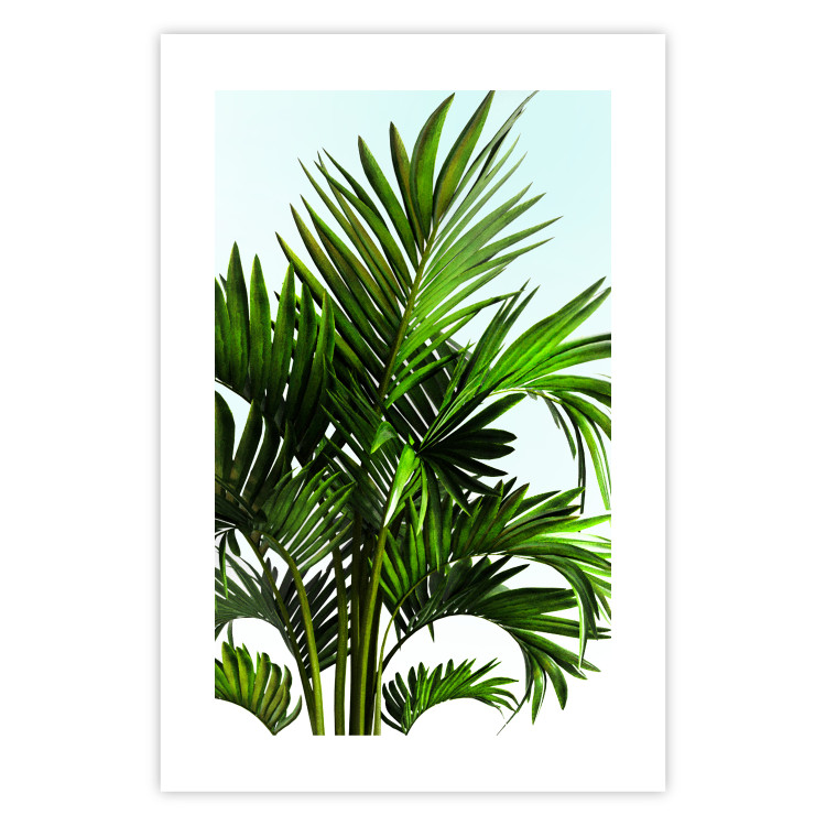 Wall Poster Holidays in Tunisia - palm tree with green leaves against a bright sky 129920 additionalImage 19