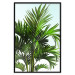 Wall Poster Holidays in Tunisia - palm tree with green leaves against a bright sky 129920 additionalThumb 16