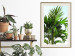 Wall Poster Holidays in Tunisia - palm tree with green leaves against a bright sky 129920 additionalThumb 22