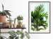Wall Poster Holidays in Tunisia - palm tree with green leaves against a bright sky 129920 additionalThumb 24