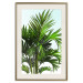 Wall Poster Holidays in Tunisia - palm tree with green leaves against a bright sky 129920 additionalThumb 20