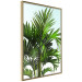 Wall Poster Holidays in Tunisia - palm tree with green leaves against a bright sky 129920 additionalThumb 12