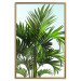 Wall Poster Holidays in Tunisia - palm tree with green leaves against a bright sky 129920 additionalThumb 17
