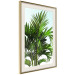 Wall Poster Holidays in Tunisia - palm tree with green leaves against a bright sky 129920 additionalThumb 3