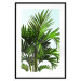 Wall Poster Holidays in Tunisia - palm tree with green leaves against a bright sky 129920 additionalThumb 17