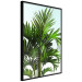 Wall Poster Holidays in Tunisia - palm tree with green leaves against a bright sky 129920 additionalThumb 11