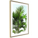 Wall Poster Holidays in Tunisia - palm tree with green leaves against a bright sky 129920 additionalThumb 7