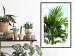 Wall Poster Holidays in Tunisia - palm tree with green leaves against a bright sky 129920 additionalThumb 23