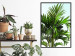 Wall Poster Holidays in Tunisia - palm tree with green leaves against a bright sky 129920 additionalThumb 4