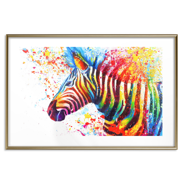 Poster Zebra Levels - animal in a multicolored composition on a white background 132020 additionalImage 14