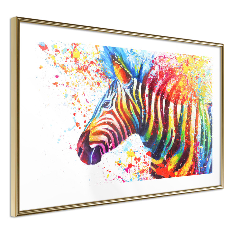 Poster Zebra Levels - animal in a multicolored composition on a white background 132020 additionalImage 5