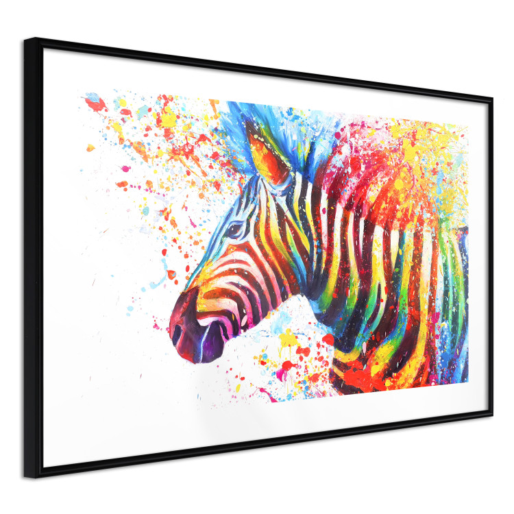 Poster Zebra Levels - animal in a multicolored composition on a white background 132020 additionalImage 2