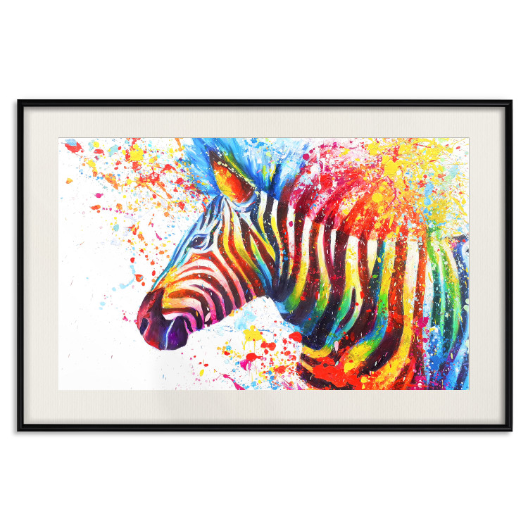 Poster Zebra Levels - animal in a multicolored composition on a white background 132020 additionalImage 19