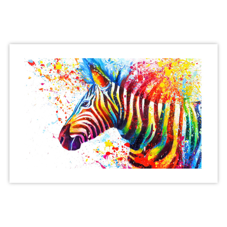 Poster Zebra Levels - animal in a multicolored composition on a white background 132020 additionalImage 25