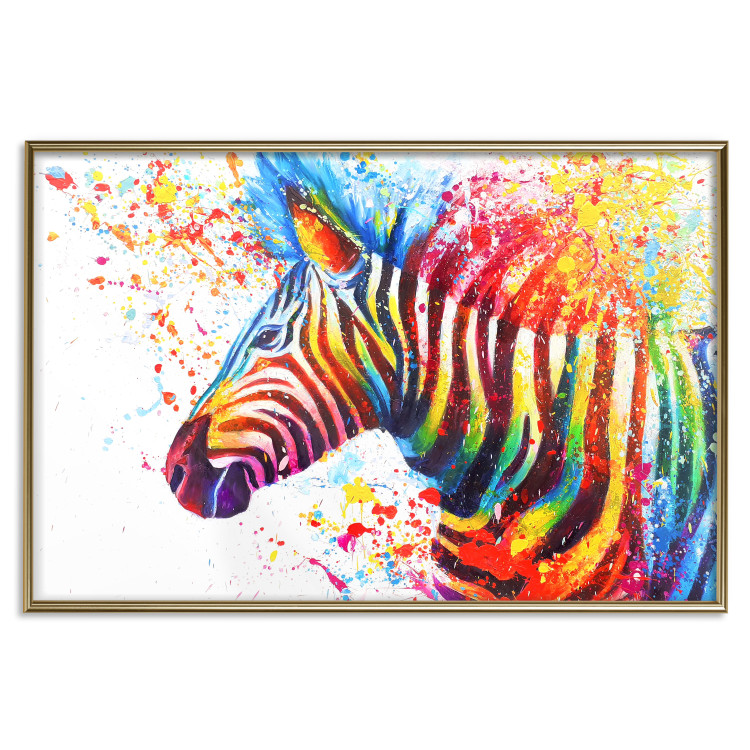Poster Zebra Levels - animal in a multicolored composition on a white background 132020 additionalImage 17