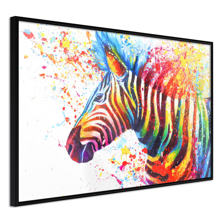Poster Zebra Levels - animal in a multicolored composition on a white background 132020 additionalImage 12