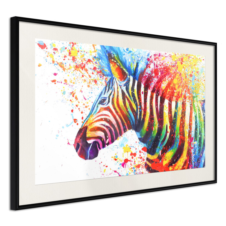 Poster Zebra Levels - animal in a multicolored composition on a white background 132020 additionalImage 4