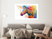 Poster Zebra Levels - animal in a multicolored composition on a white background 132020 additionalThumb 3