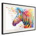Poster Zebra Levels - animal in a multicolored composition on a white background 132020 additionalThumb 4