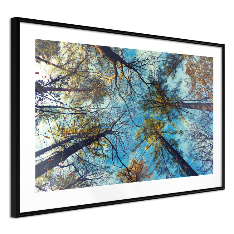 Poster Autumn sky [Poster] Horizontal 132520 additionalImage 8