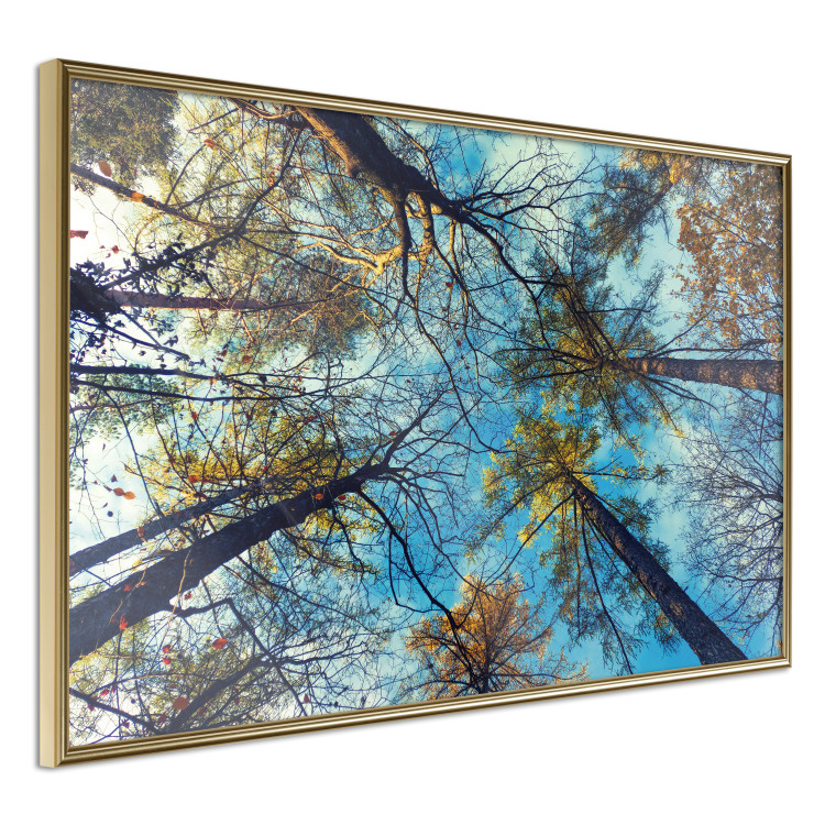 Poster Autumn sky [Poster] Horizontal 132520 additionalImage 14