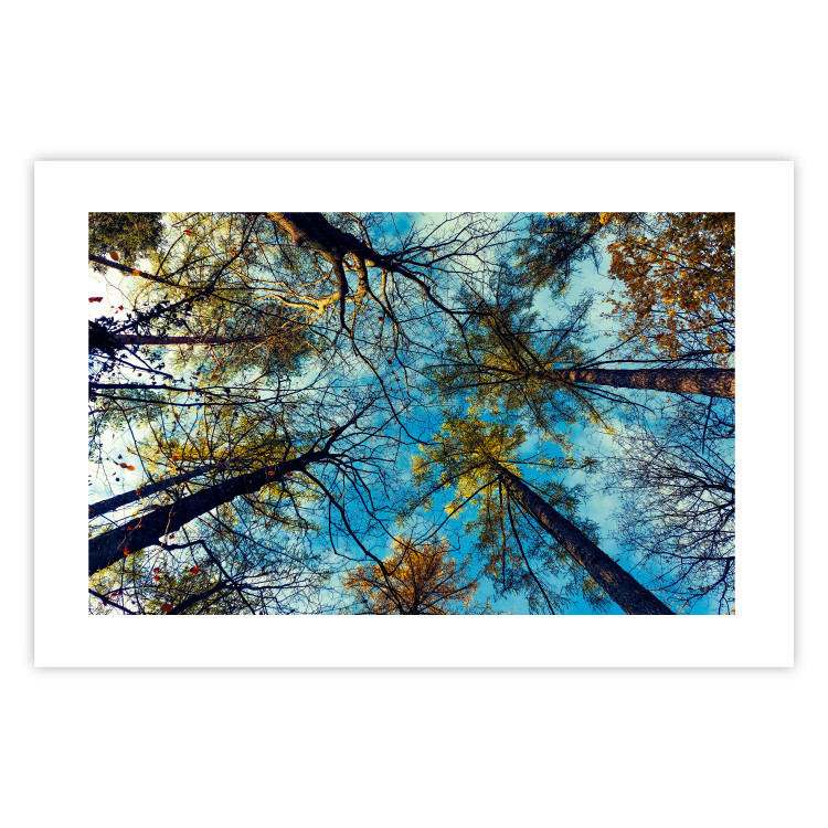 Poster Autumn sky [Poster] Horizontal 132520 additionalImage 17