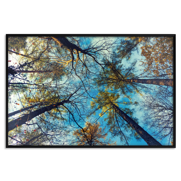 Poster Autumn sky [Poster] Horizontal 132520 additionalImage 19