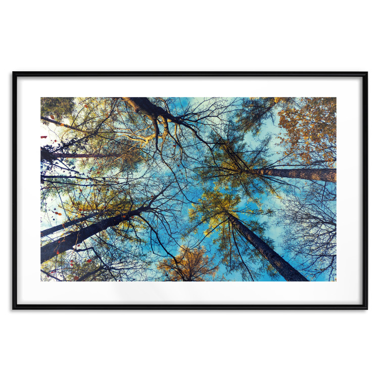 Poster Autumn sky [Poster] Horizontal 132520 additionalImage 27