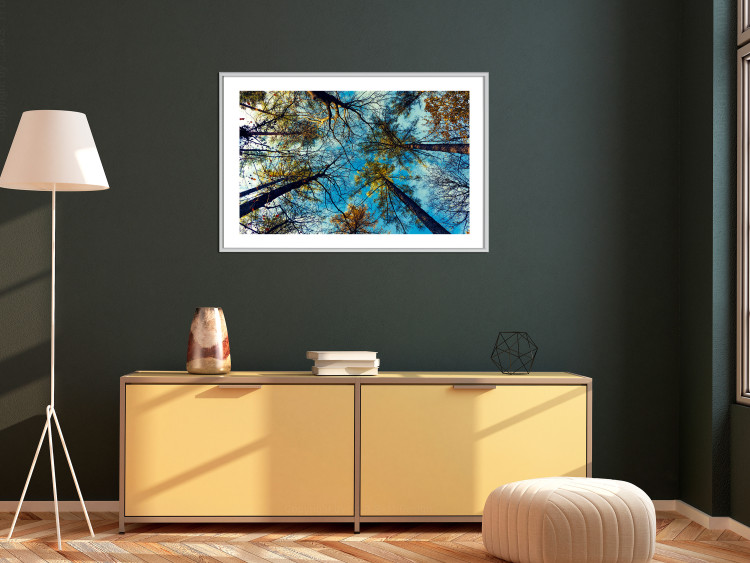 Poster Autumn sky [Poster] Horizontal 132520 additionalImage 5