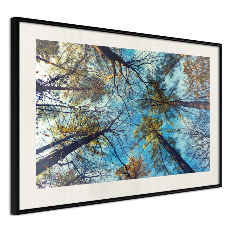 Poster Autumn sky [Poster] Horizontal 132520 additionalImage 2