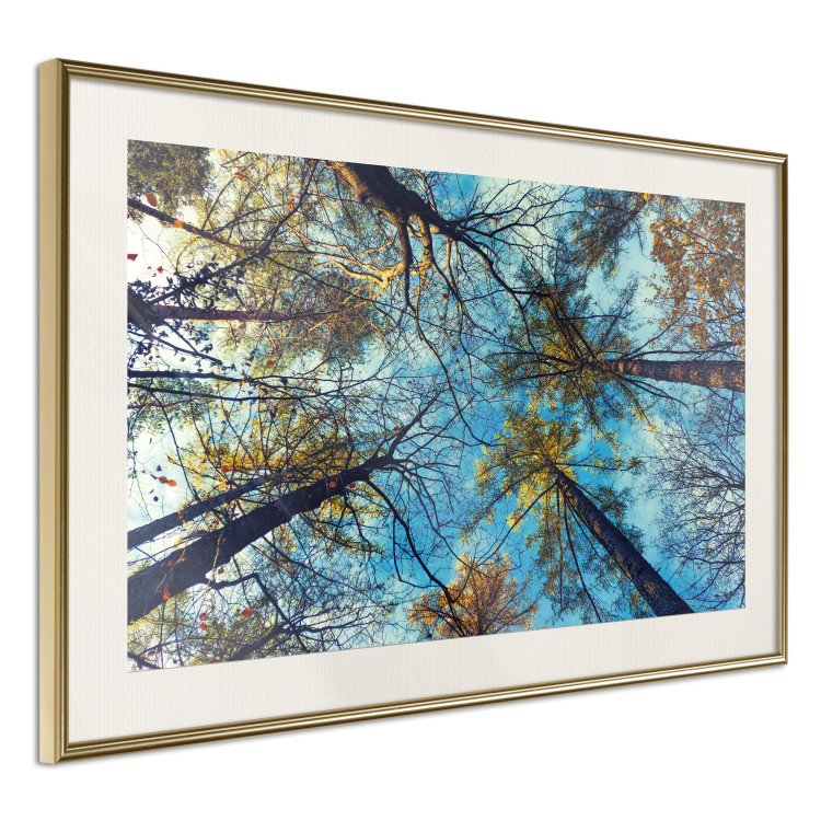 Poster Autumn sky [Poster] Horizontal 132520 additionalImage 3
