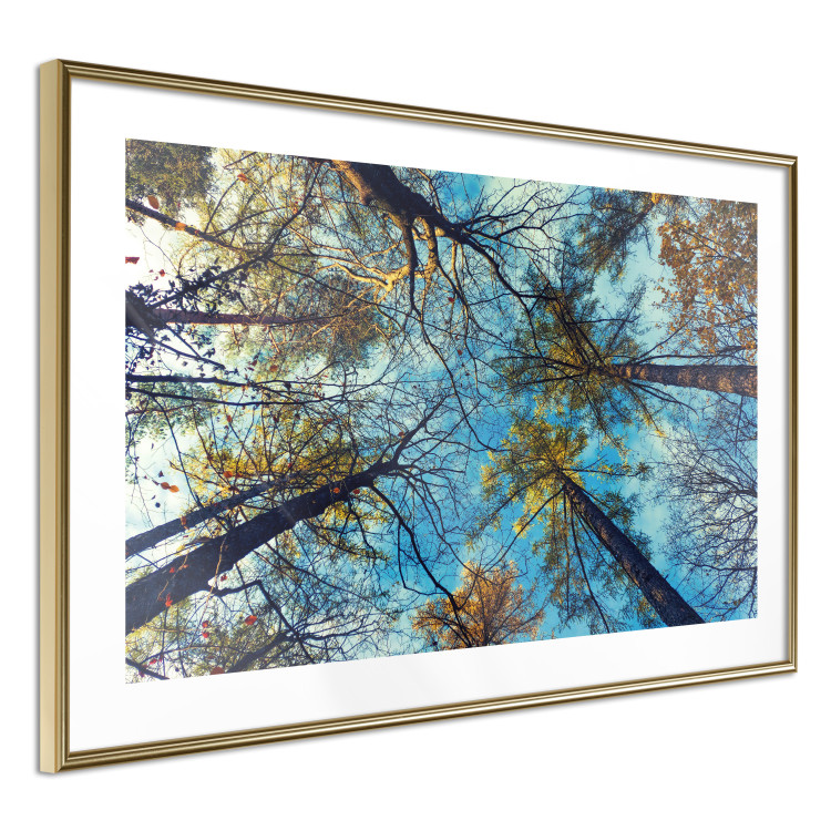 Poster Autumn sky [Poster] Horizontal 132520 additionalImage 9