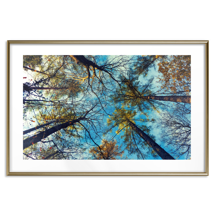 Poster Autumn sky [Poster] Horizontal 132520 additionalImage 20
