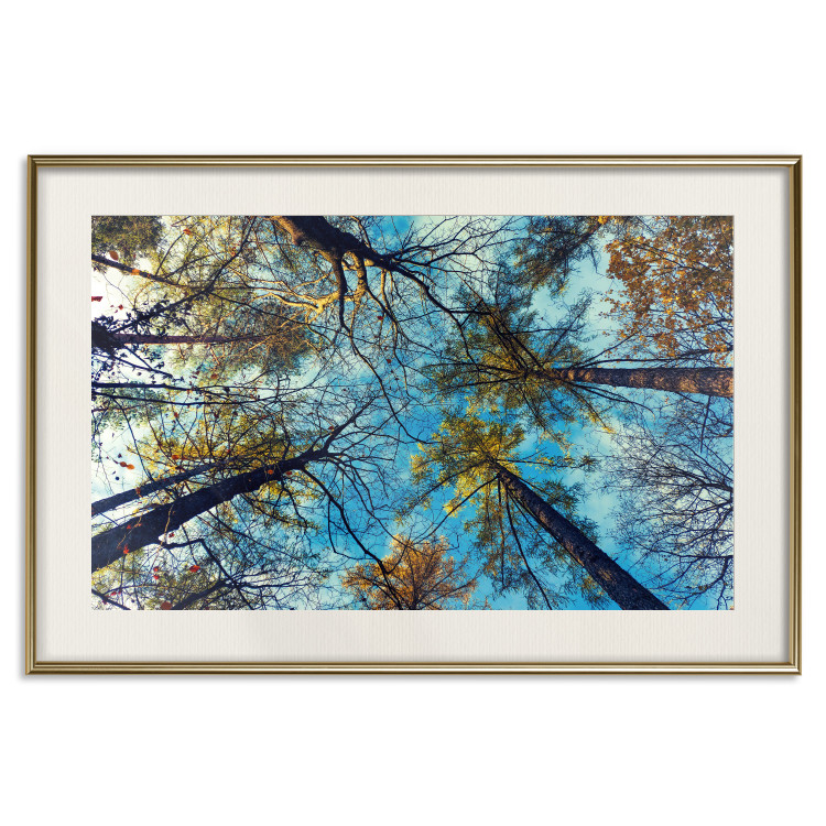 Poster Autumn sky [Poster] Horizontal 132520 additionalImage 26